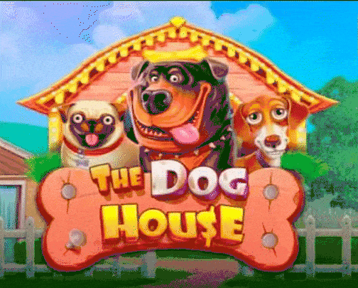 play the dog house in slots gem casino
